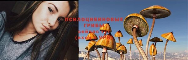 хмурый Белоозёрский
