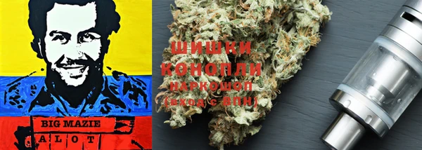 стафф Белокуриха