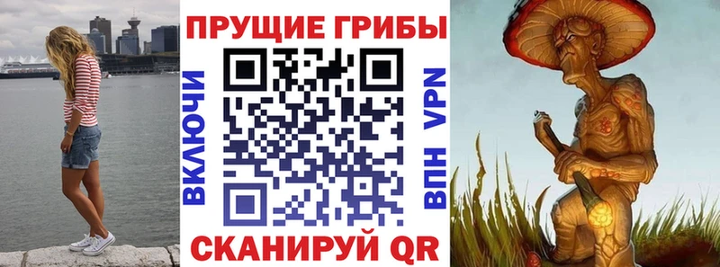 Псилоцибиновые грибы Cubensis  что такое   Костомукша 